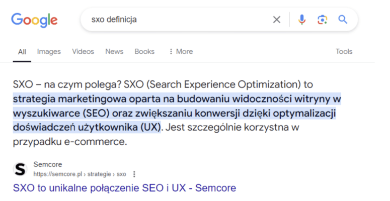 Profesjonalna definicja SXO