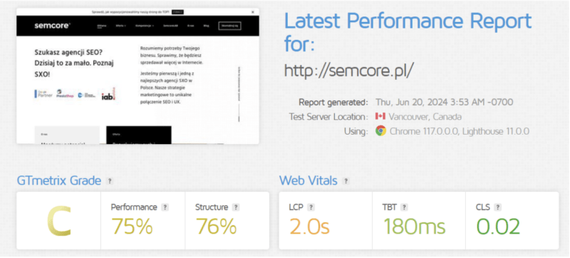 Analiza witryny pod kątem wydajności.
